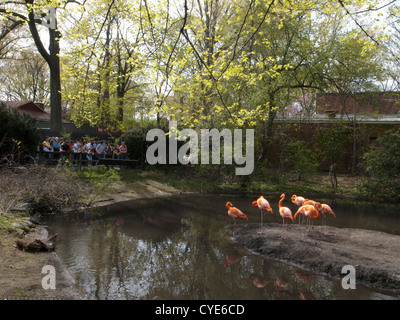 Zoo du Bronx. Banque D'Images