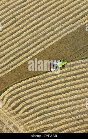 Les Pays-Bas, Donderen, Moissonneuse-batteuse, la récolte du blé champ. Vue aérienne. Banque D'Images
