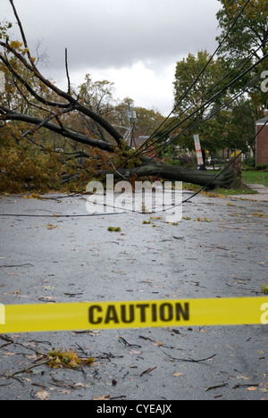 Arbres et lignes électriques fils par l'Ouragan Sandy dans une ville du New Jersey. Banque D'Images