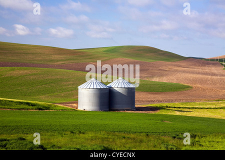 WA05485-00...WASHINGTON - Les silos à grains dans un champ près de Steptoe dans la région de Palouse agricole. Banque D'Images