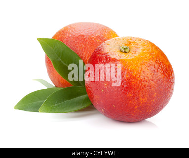 Deux rouges oranges avec des Leafs. Isolé sur fond blanc Banque D'Images