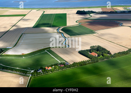 Les Pays-Bas, Holwerd, de fermes et de terres agricoles. Vue aérienne. Banque D'Images