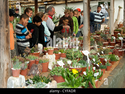 Les élèves d'une classe en excursion dans les maisons vertes de l'Kokerboom Succulent pépinière de Vanrhynsdorp, Western Cape, Afrique du Sud Banque D'Images