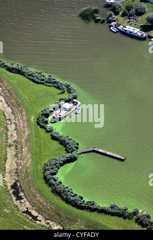 Les Pays-Bas, Akersloot, lac appelé Alkmaardermeer. Yachts ancrés près de l'île. Vue aérienne. Banque D'Images