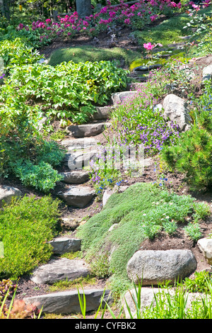 Escalier en pierre qui monte une petite colline dans un jardin de rocaille alpine vivace. Banque D'Images