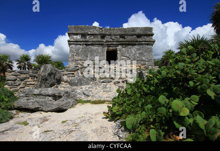 Mayans anciens, site Xcaret, Mayan, jungle, temple, Calendrier Maya, mexicain, Riviera, sauna, archéologique majeur, architecture, symbolique, œuvres d'art. Banque D'Images