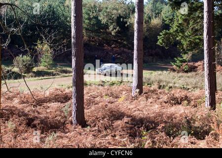 Voitures concurrentes dans la tempête rallye qui est une forêt d'après rallye de plusieurs théâtres basé à Aldershot et prend place dans le Hampshire. Banque D'Images