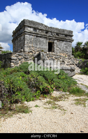 Mayans anciens, site Xcaret, Mayan, jungle, temple, Calendrier Maya, mexicain, Riviera, sauna, archéologique majeur, architecture, symbolique, œuvres d'art. Banque D'Images