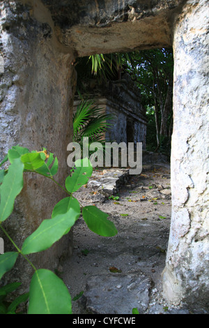 Mayans anciens, site Xcaret, Mayan, jungle, temple, Calendrier Maya, mexicain, Riviera, sauna, archéologique majeur, architecture, symbolique, œuvres d'art. Banque D'Images