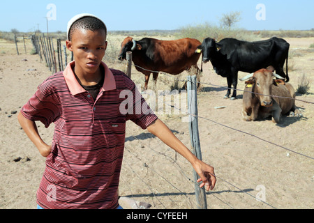 Un garçon (15) de l'élevage de vaches de la tribu San bushman, désert du Kalahari, en Namibie Banque D'Images