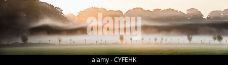 Les Pays-Bas, 's-Graveland, domaine rural Hilvarenbeek. Vue panoramique. Brume du matin. Le lever du soleil. Banque D'Images