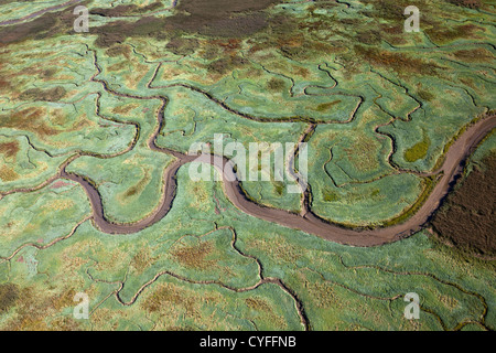 Les Pays-Bas, Nieuw Namen, rivière Westerschelde. Marais de marée. Vue aérienne. Banque D'Images