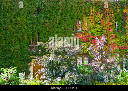 1 e année inscrits au Balliol College Building recouvert de lierre plantes rampantes Oxford Oxfordshire England Europe Banque D'Images