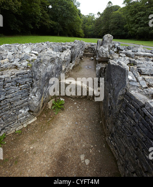 Parc le Breos chambre funéraire, Gower, Pays de Galles, Royaume-Uni Banque D'Images