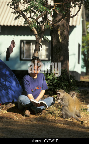 Au Zimbabwe, près de Victoria Falls, touristique, camping, lecture, femme et un singe (Cercopithecus aethiops). Banque D'Images