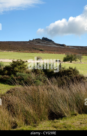 La réserve nationale, Stiperstones avec Manstone Rock dans la distance, paysage Shropshire UK Banque D'Images