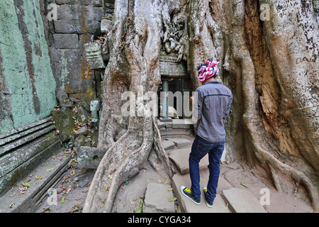 Racines d'un arbre géant le Temple Ta Phrom également mangeuses dans le Temple d'Angkor au Cambodge, Parc Banque D'Images