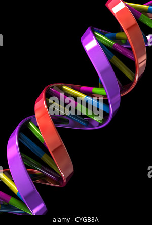 Modèle en double hélice de l'ADN sur fond noir - 3D render - notion de droit Banque D'Images