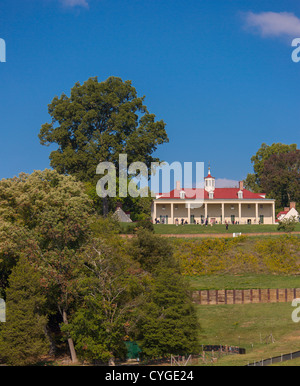 MOUNT VERNON, Virginia, USA - Pecan tree (en haut à gauche) à l'historique de la maison de George Washington, premier Président des Etats-Unis. Banque D'Images