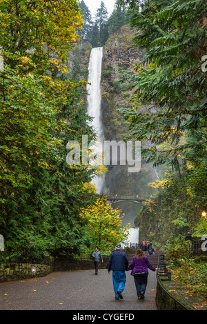Chemin d'accès à la zone d'affichage au chutes de Multnomah, Columbia River Gorge, comté de Multnomah, Oregon, USA Banque D'Images