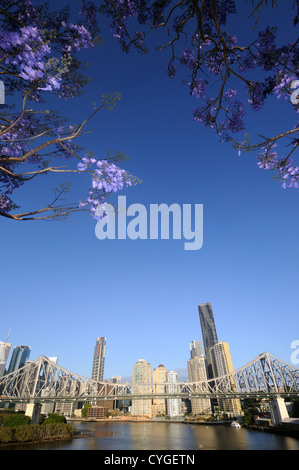 Voir l'histoire du pont et de la Rivière de Brisbane et de la CDB avec la floraison jacarandas au printemps, Queensland, Australie. Pas de PR Banque D'Images