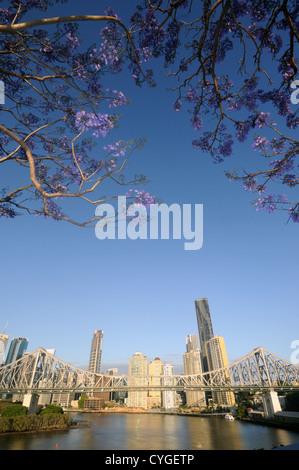 Voir l'histoire du pont et de la Rivière de Brisbane et de la CDB avec la floraison jacarandas au printemps, Queensland, Australie. Pas de PR Banque D'Images