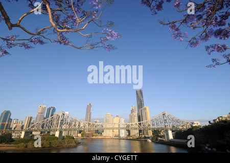 Voir l'histoire du pont et de la Rivière de Brisbane et de la CDB avec la floraison jacarandas au printemps, Queensland, Australie. Pas de PR Banque D'Images