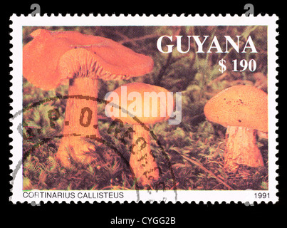 Timbre-poste de la Guyane illustrant les champignons (Cortinarius callisteus) Banque D'Images