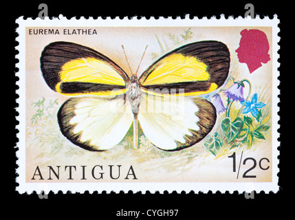 Timbre-poste de représentant un papillon tropical (Eurema elathea). Banque D'Images