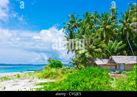 Paysage de l'île tropicale avec abris Banque D'Images