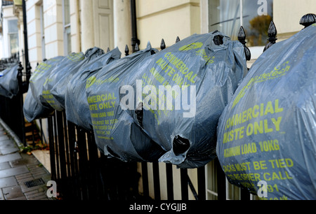 Sacs Poubelles de déchets commerciaux seulement accroché à une clôture en fer forgé Street Brighton UK en attente pour la collecte par le conseil Banque D'Images