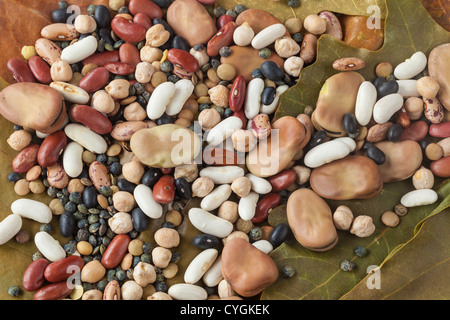 Assortiment de légumes de saison crus sur feuille d'automne Banque D'Images