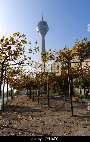 (Rheinturm Tour du Rhin) et les bureaux du gouvernement NRW, Düsseldorf, Rhénanie du Nord-Westphalie, Allemagne. Banque D'Images