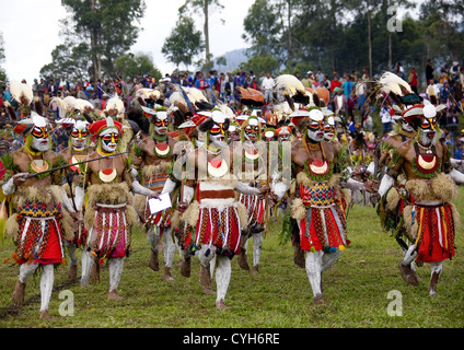 Highlander guerriers en Mount Hagen durant la cérémonie de Sing Sing, Western Highlands, Papouasie Nouvelle Guinée Banque D'Images