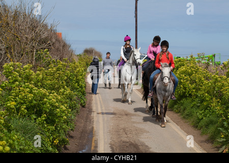 Équitation, Happisburgh sentier côtier. Le Norfolk. Alexanders en fleurs le long des deux côtés de la route. Banque D'Images
