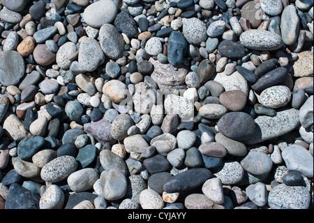 La texture de galets. Lot de pierres sur beach Banque D'Images