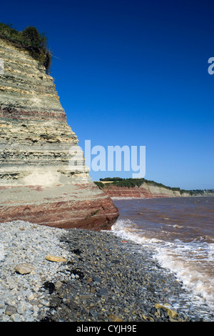 Les strates de roche lavernock point à penarth à Vale of Glamorgan South Wales UK Banque D'Images