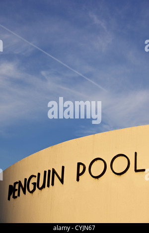 Penguin Pool, au Zoo de Londres, Regent Park, Angleterre, Grande-Bretagne, Royaume-Uni, Europe Banque D'Images