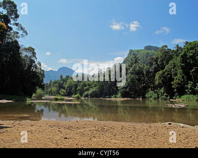 Zone de forêt tropicale protégée sur la rivière Kelani, près de Kitulgala, Sri Lanka Banque D'Images