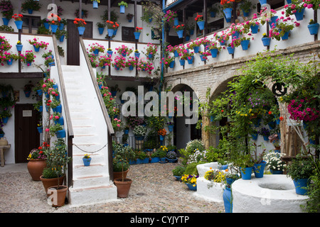 Cour intérieure d'une maison traditionnelle dans la ville de Cordoue, Espagne, Andalousie, région avec les pots de fleurs sur les murs. Banque D'Images