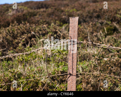 Howth sur la côte près de Dublin l'Irlande a un marche en boucle pour les randonneurs, avec différentes longueurs, ici une clôture rouillée pour l'orientation Banque D'Images