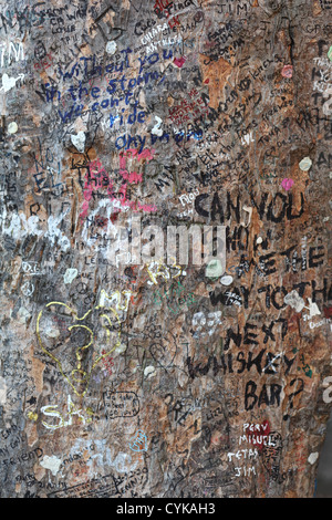 Un arbre couvert de graffitis à la tombe de Jim Morrison. Banque D'Images