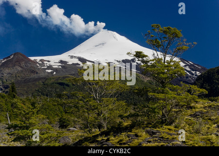 Le Parc National Villarrica, au Chili. L'Amérique du Sud. Actif Volcan Villarrica. Région d'Araucanie au Chili. Banque D'Images