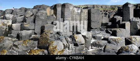 Les colonnes de basalte en couches polygonales à la Giant's Causeway, d'Antrim, Irlande du Nord Banque D'Images