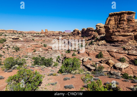 Needles District de Canyonlands National Park dans l'Utah. Banque D'Images