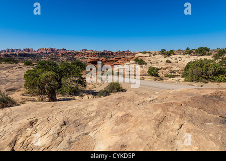 Needles District de Canyonlands National Park dans l'Utah. Banque D'Images