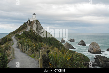 Chemin menant à Nugget Point Lighthouse. Région de l'Otago, île du Sud, Nouvelle-Zélande Banque D'Images