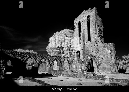 L'image monochrome infrarouge de Croxden Abbaye cistercienne ruines, près de l'usage éditorial Staffordshire Uttoxeter Banque D'Images