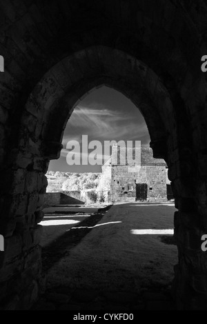 L'image monochrome infrarouge de Croxden Abbaye cistercienne ruines, près de l'usage éditorial Staffordshire Uttoxeter Banque D'Images