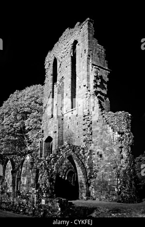 L'image monochrome infrarouge de Croxden Abbaye cistercienne ruines, près de l'usage éditorial Staffordshire Uttoxeter Banque D'Images